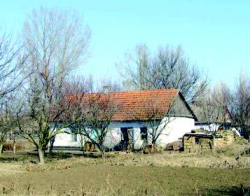 В 2012 году земля под Минском может подорожать в несколько раз
