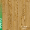 Прикрепленные изображения