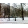 Прикрепленные изображения