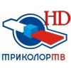 Прикрепленные изображения